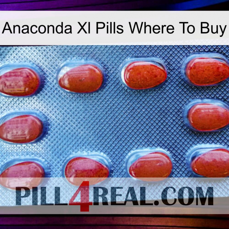 Anaconda Xl Pills Where To Buy 06